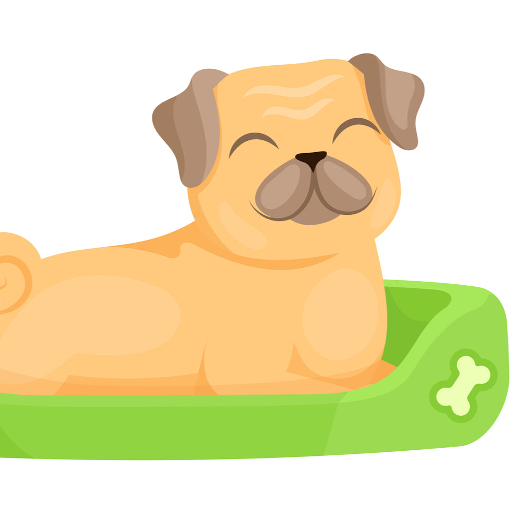 What is the preposition in 'The dog is asleep on his bed'?